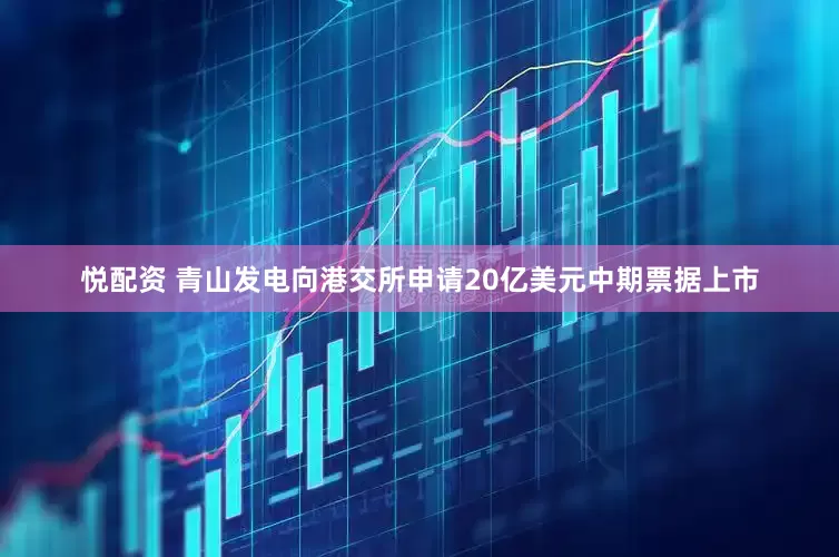 悦配资 青山发电向港交所申请20亿美元中期票据上市