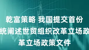 乾富策略 我国提交首份全面系统阐述世贸组织改革立场政策文件